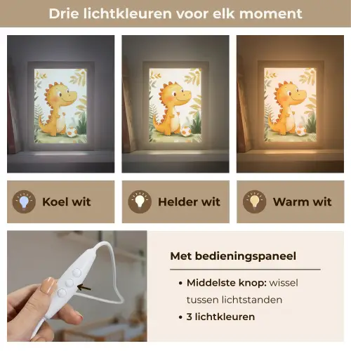 Dino - Voetbal - Oranje Light Box met kabel klein -USP_lichtkleurNL
