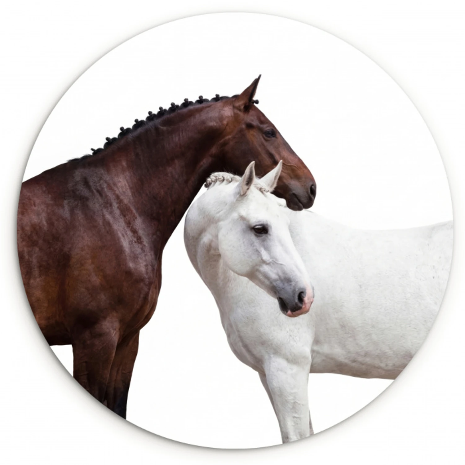 Paard - Modern - Balans Wandcirkel kunststof plaat 5mm dik klein -3d