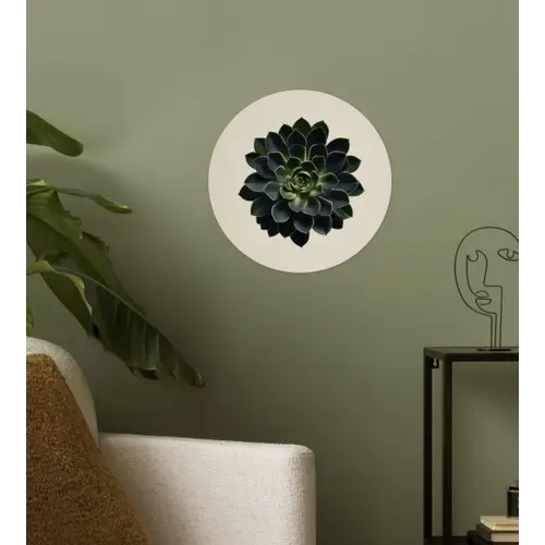 Rozet - Cirkelvormig - Donkergroen Wandcirkel behangsticker klein -sfeer2