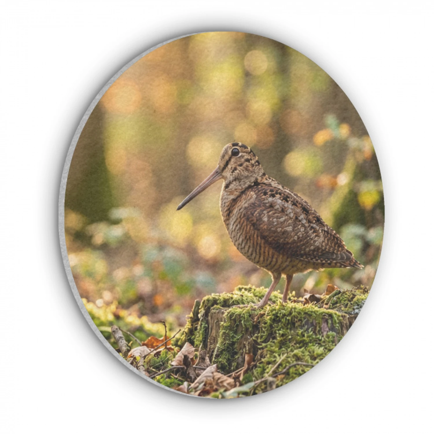Houtsnip - Bos - Bladeren - Herfst - Gecamoufleerd Akoestische PET Vilt - Rond klein -3d