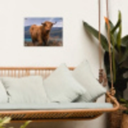 Hooglander bij het Meer tuinposter los doek klein -sfeer7