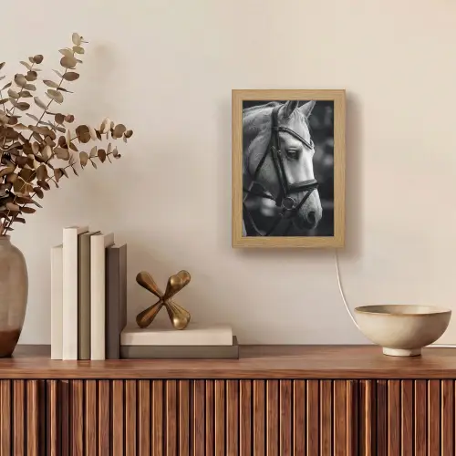 Paard - Schimmel - Portret Light Box met kabel (Tafellamp) klein -sfeer2