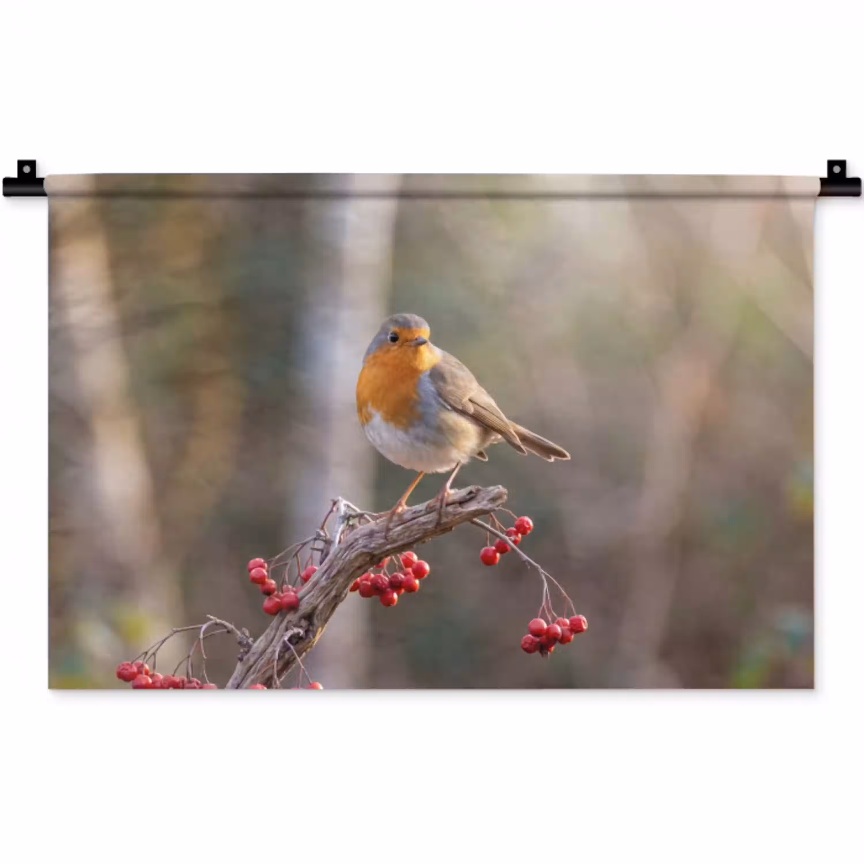 Roodborst - Tak - Bessen - Natuur Wandkleed katoen klein -zz3d