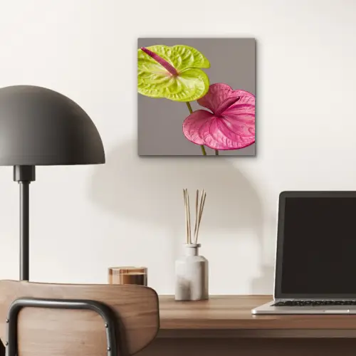 Planten - Anthurium - Groen - Roze aluminium wit klein -sfeer5