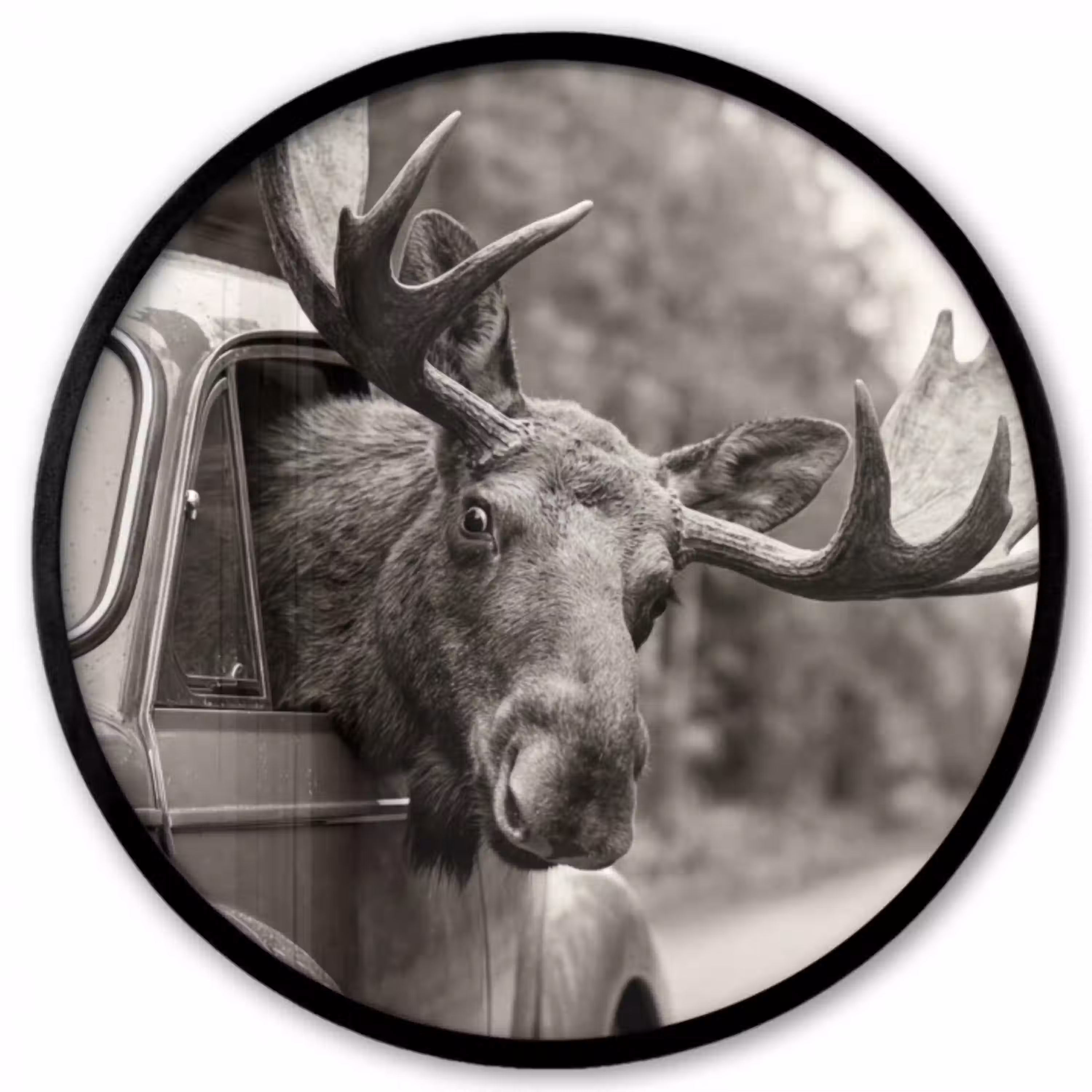 Eland - Auto - Gewei - Zwart - Wit Fotolijst rond zonder passe partout klein -3d