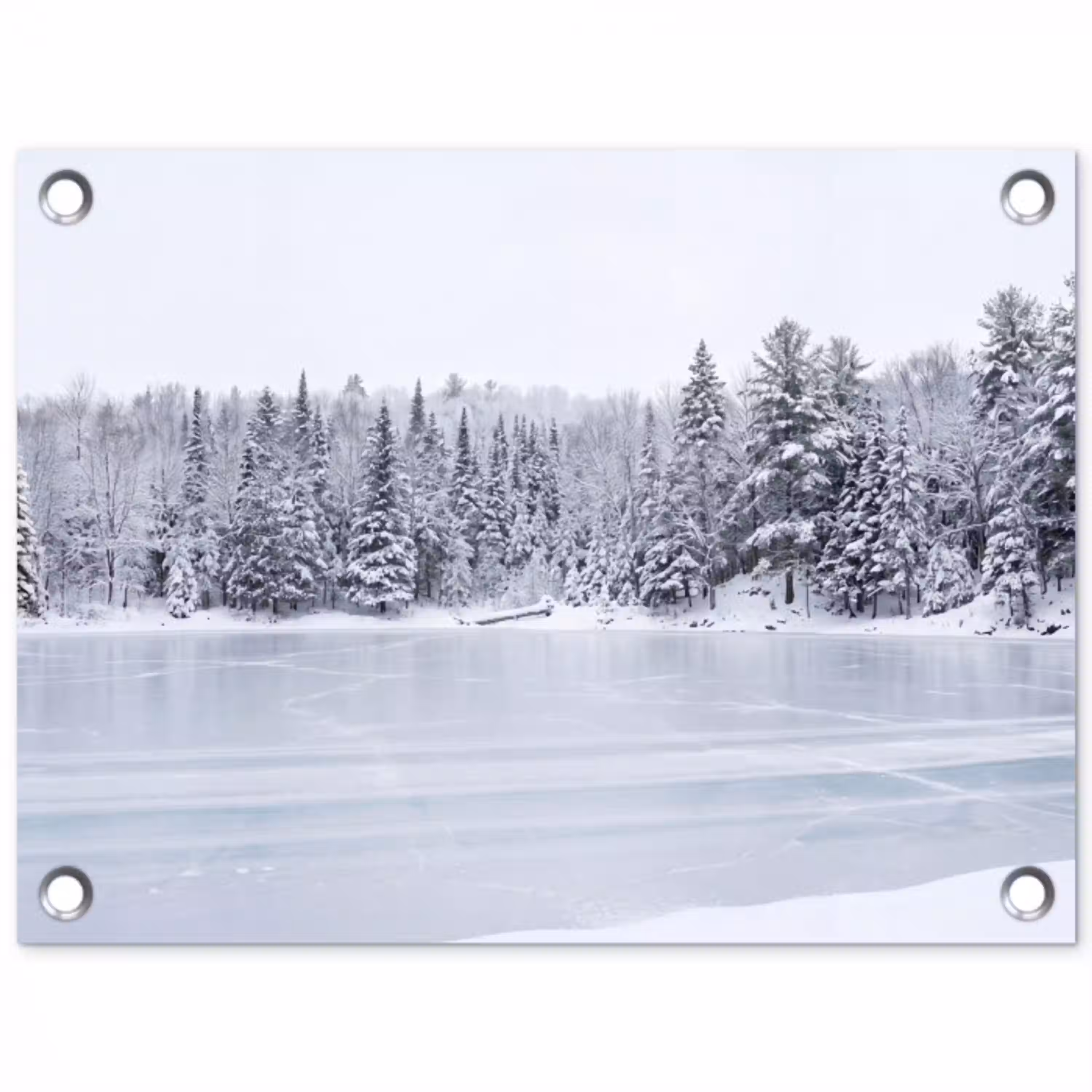 Meer - Dennen - IJs - Winter - Rustgevend tuinposter los doek klein -3d