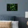 Bladeren - Regendruppels - Licht - Groen poster papier klein -sfeer2