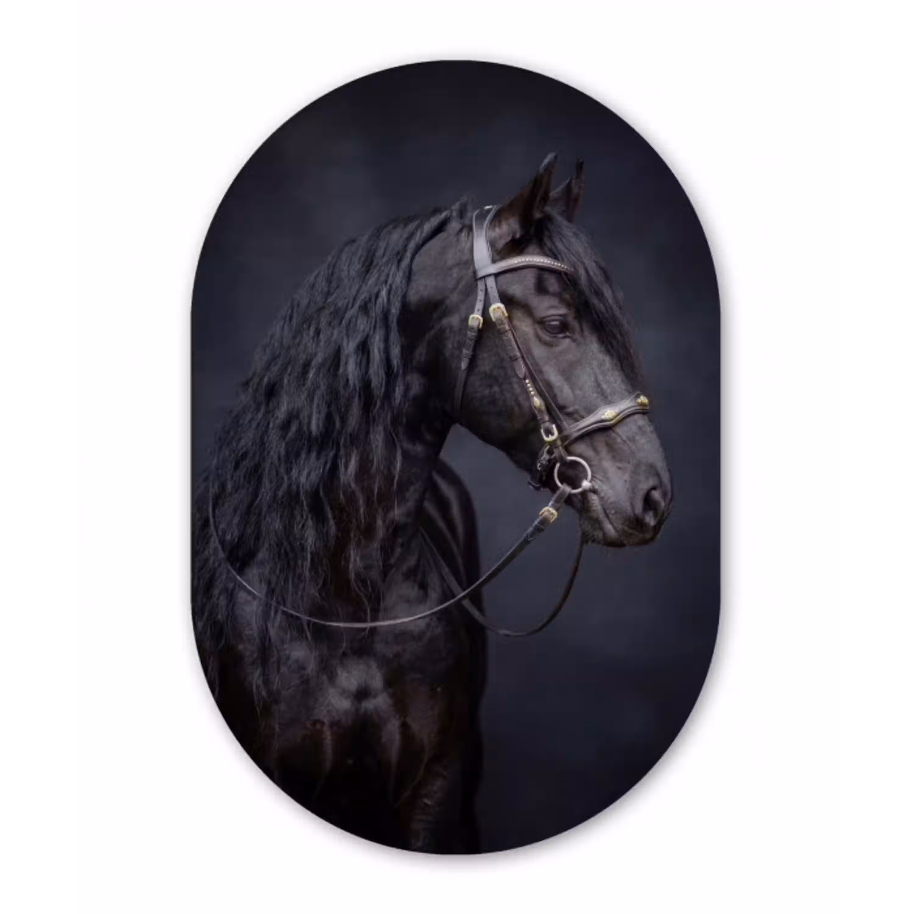 Portret - Paard - Donker Wandcirkel Ovaal Aluminium middel -3d