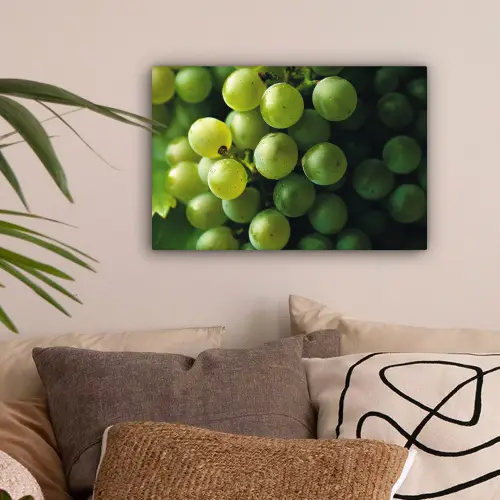 Druiven - Tros - Groen canvas 2cm klein -sfeer1