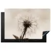 Paardenbloem - Minimalistisch - Wit Inductie beschermer vinyl 3mm klein -3d