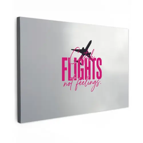 Catch flights not feelings - Vliegtuig - Roze canvas 2cm klein -z3d