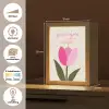 Tulp - Roze - Valentijn - Bloem Light Box met kabel (Wandlamp) klein -USP_websiteoverzichtNL