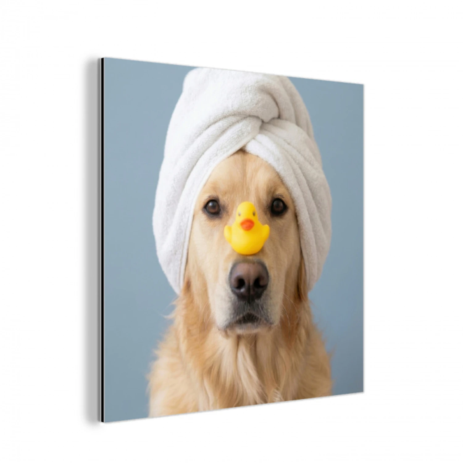 Hond - Badeend - Geel aluminium wit klein -3d