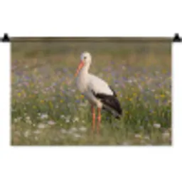 Ooienvaar - Bloemen - Weide - Kleurrijk Wandkleed katoen klein -zz3d