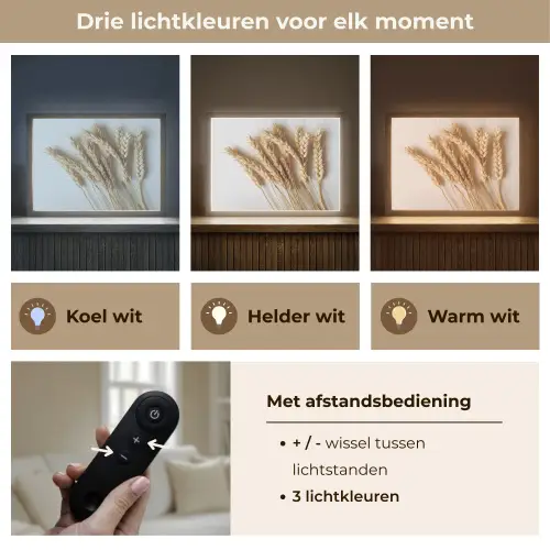 Graan - Geel - Wit - Stilleven Light Box met batterij (Wandlamp) middel -USP_lichtkleurNL