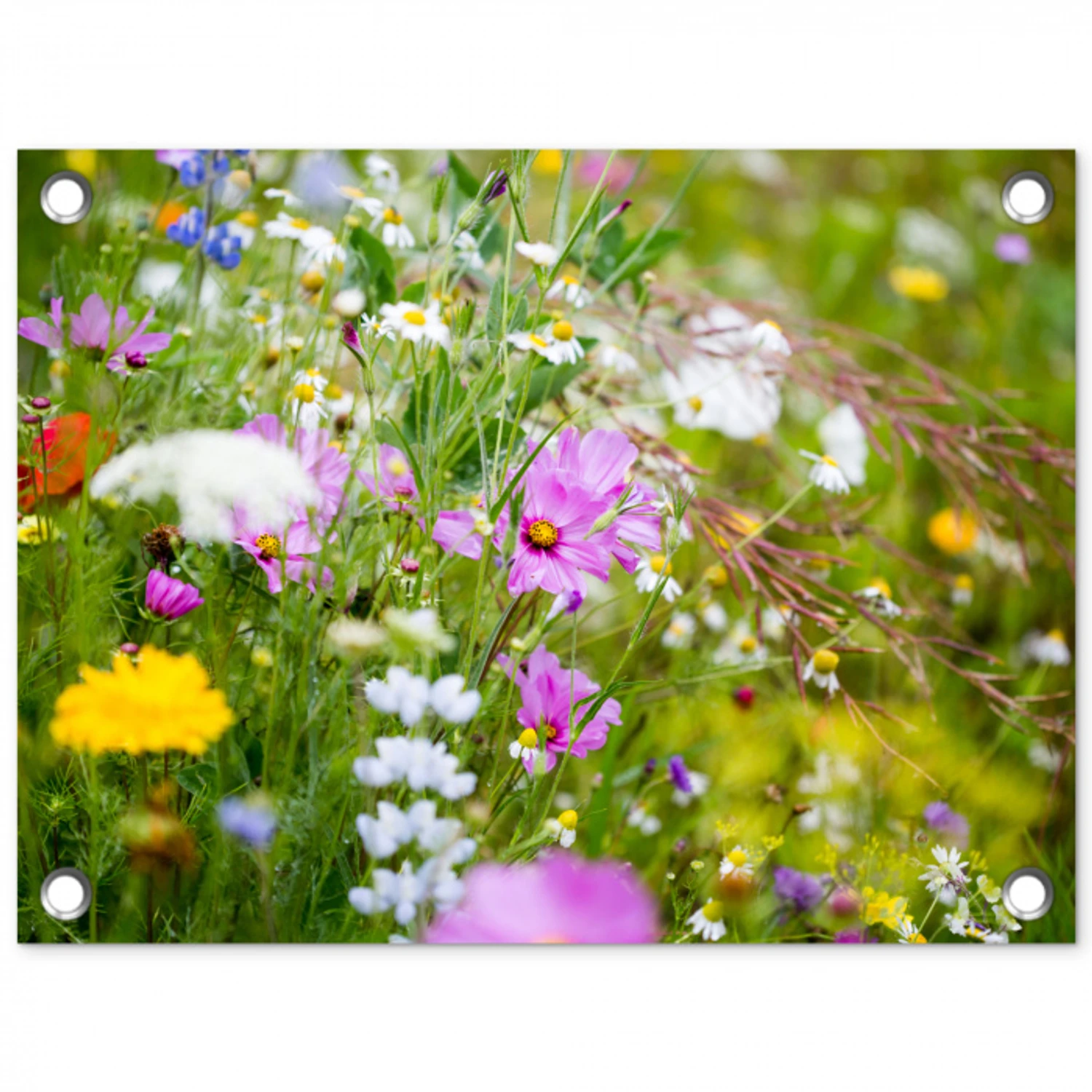 Wilde bloemen in volle bloei tuinposter los doek klein -3d