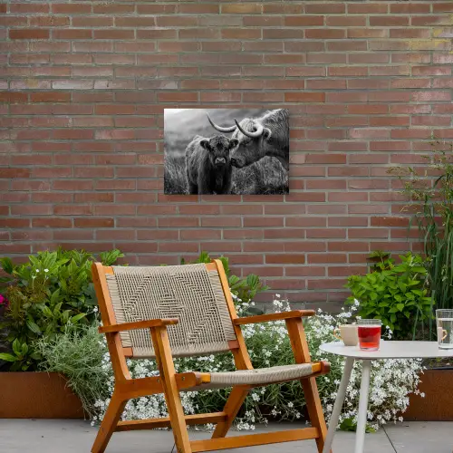 Schotse hooglander - Kalf - Zwart - Wit Tuinposter op houten frame 2 cm dik klein -sfeer3