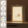 Alpaca - Egel - Bruin - Knuffelen Light Box met kabel klein -USP_NL