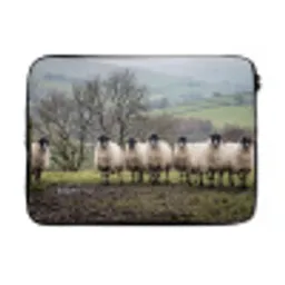 Schapen - Rij - Weide - Dieren - Platteland laptophoes neopreen klein -3d