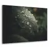 Blad - Groen - Nerven - Regendruppels Textielframe zwart klein -3d