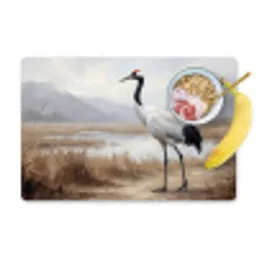 Kraanvogel - Natuur - Realistisch Placemat vinyl groot -zzzproduct_Kitchenyeah-website