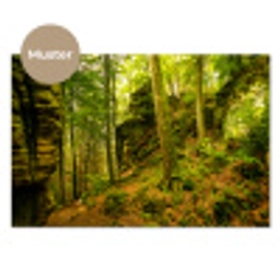 Bomen - Steen - Bos - Natuur - Planten keuken achterwand sample klein -3d_DE