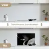 Kraanvogel - Zwart - Wit - Vogel - Dieren keuken achterwand spatscherm klein -voor_na_NL