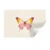 Vlinder - Illustratie - Roze Muursticker klein -3d