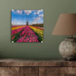 Tulpen - Holland - Molen - Kleurrijk plexiglas 5mm klein -sfeer3