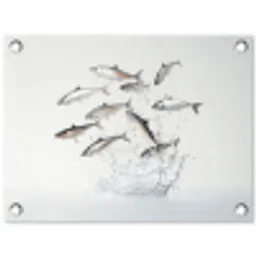 Vissen - Water - Wit tuinposter los doek klein -3d