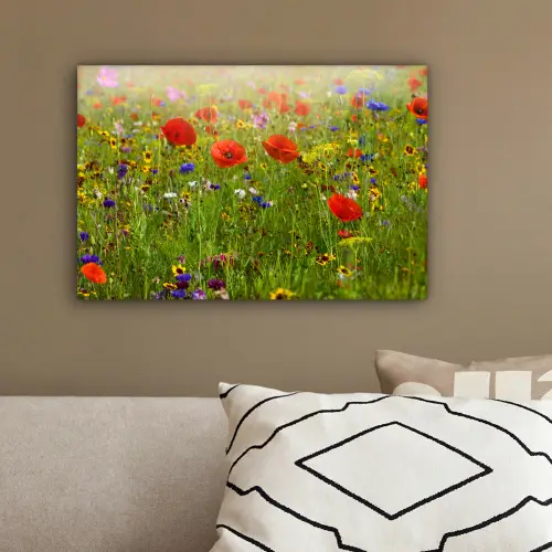 Lente - Bloemen - Rood - Klaproos - Gras - Groen canvas 2cm klein -sfeer3