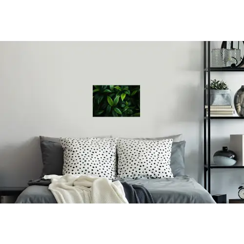 Bladeren - Regendruppels - Licht - Groen Muursticker klein -slaapkamer