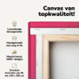 Schepijs - Roze - Hoorntje canvas 2cm klein -zzzsfeer2_topdoek