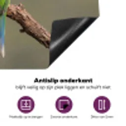 Papagaai - Tak - Natuur - Kleurrijk Inductie beschermer vinyl 3mm klein -zzzzzzz-cc-onderkant