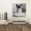 Kat - Siamees - Zwart Wit - Schattig - Dieren aluminium wit klein -sfeer1