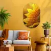 Zonnebloem - Dauwdruppels - Geel - Zonlicht Wandcirkel Ovaal Glas middel -sfeer4