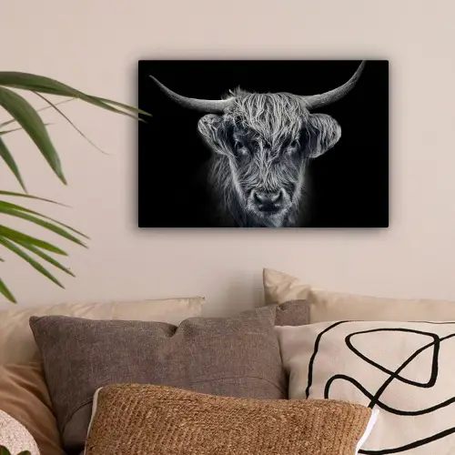 Schotse hooglander - Zwart - Koe - Dieren canvas 2cm klein -sfeer1