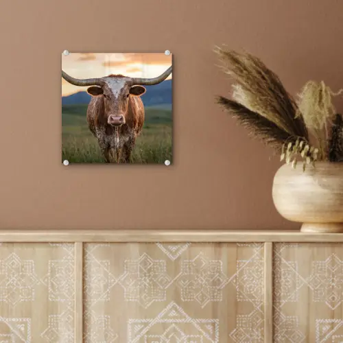 Longhorn - Landschap - Zonsondergang plexiglas 5mm klein -sfeer5