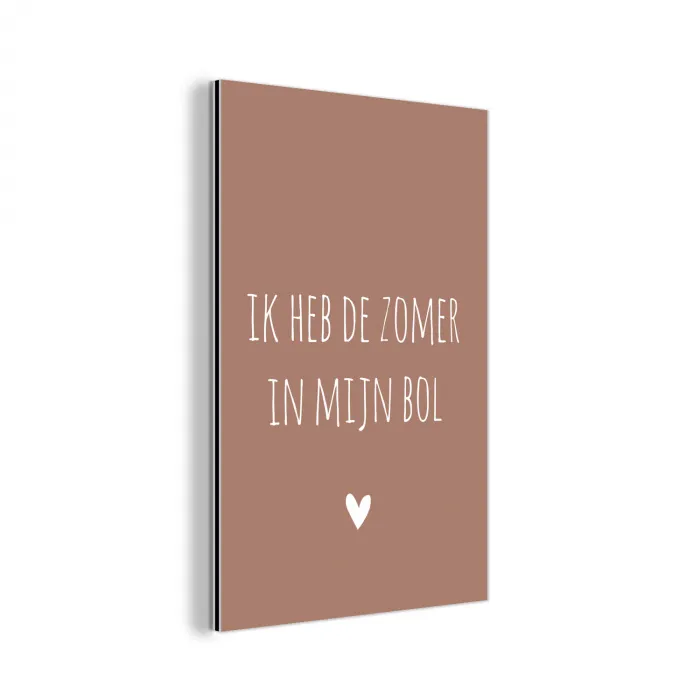 Spreuken - Ik heb de zomer in mijn bol - Quotes - André Hazes aluminium wit klein -3d