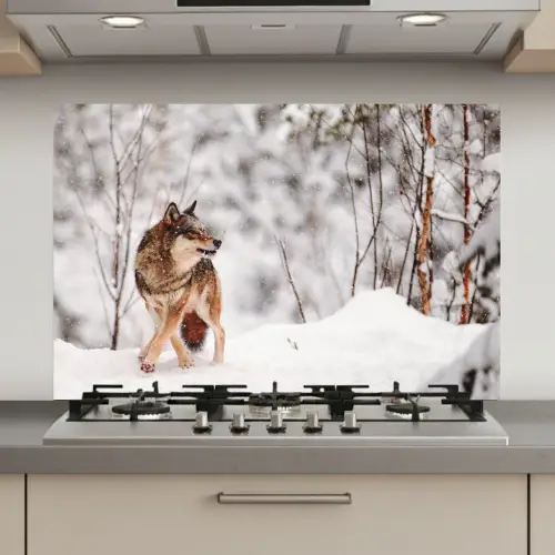 Wolf - Winter - Sneeuw - Natuur - Dieren keuken achterwand spatscherm klein -3d_website