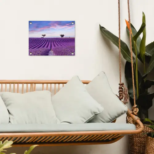Lavendel - Natuur - Paars - Bomen - Bloemen tuinposter los doek klein -sfeer7