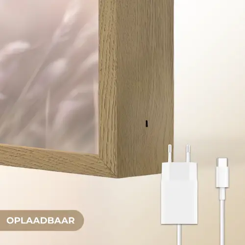 Graspluimen - Wind - Beige - Mistig Light Box met batterij (Wandlamp) middel -USP_websiteoplaadbaarNL