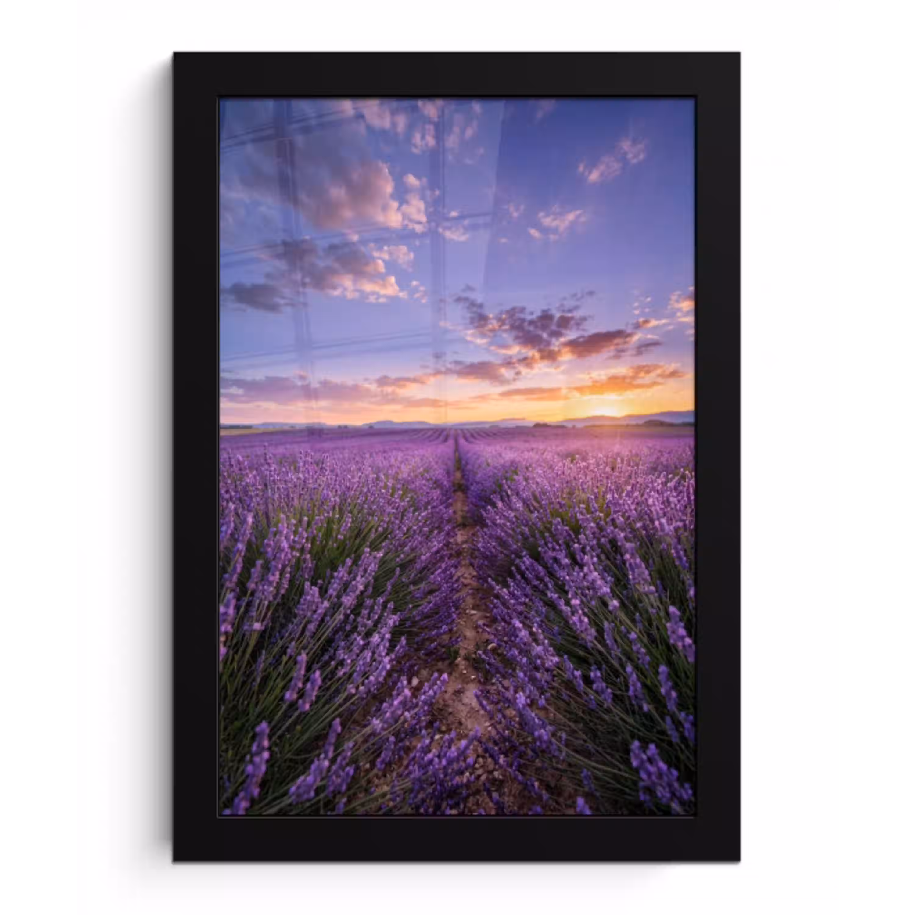 Lavendel - Veld - Natuur - Paars fotolijst zwart zonder passe partout klein -3d