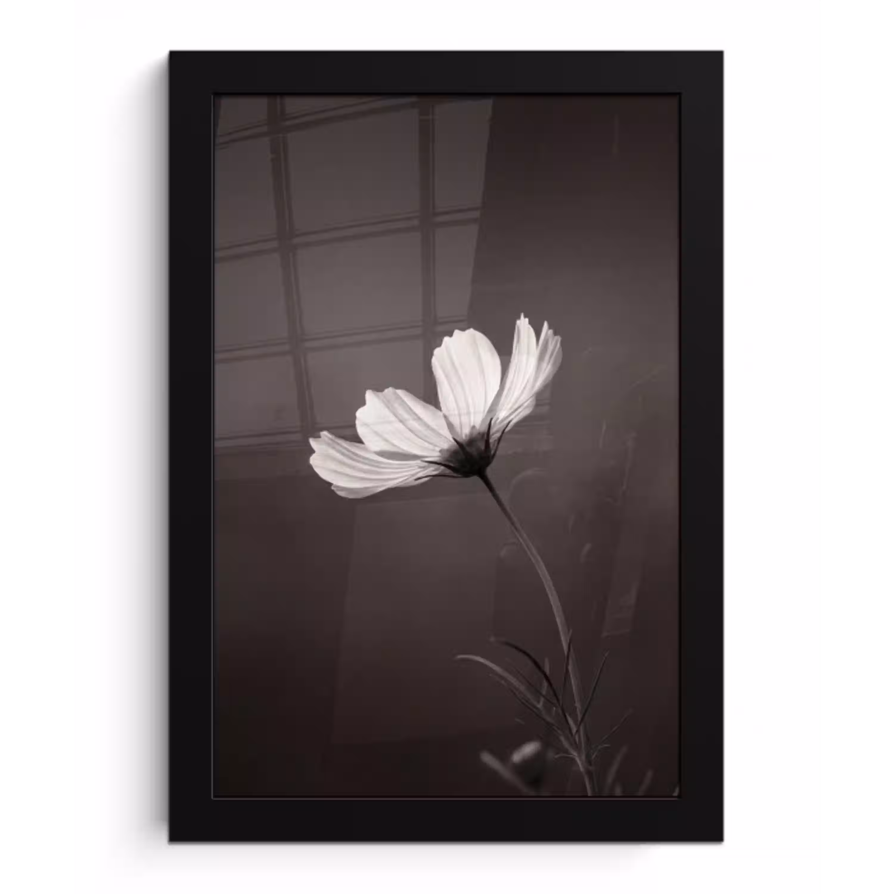Bloem - Minimalistisch - Zwart - Wit fotolijst zwart zonder passe partout klein -3d