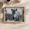Zebra's - Zwart - Wit Dienblad Rechthoek middel -USP_Formaat