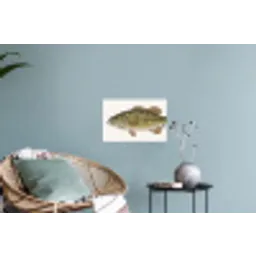 Vissen - Natuur - Vintage Muursticker klein -plant
