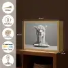 Alpaca - Pasta - Zwart - Wit - Grappig - Dieren Light Box met batterij (Wandlamp) middel -USP_websiteoverzichtNL