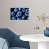 Bessen - Blauw - Fruit poster papier klein -sfeer3