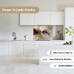 Schaap - Oog - Wit keuken achterwand 2 middel -sfeer4_DE
