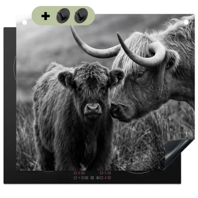 Inductiebeschermer & spatscherm (2in1) - Schotse hooglander - Kalf - Zwart - Wit